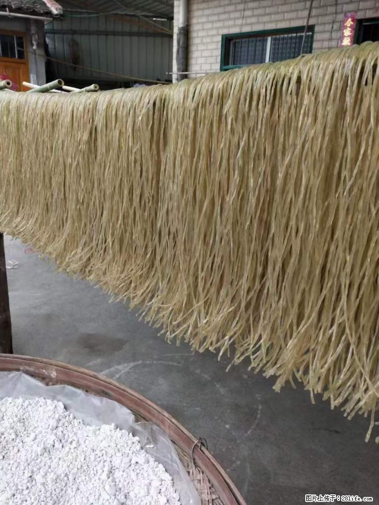 【灌阳正宗红薯粉】美女家里自己做的，干净卫生，假一赔十，价格合理，抢购电话：13737312895 - 美食天地 - 泸州生活社区 - 泸州28生活网 luzhou.28life.net
