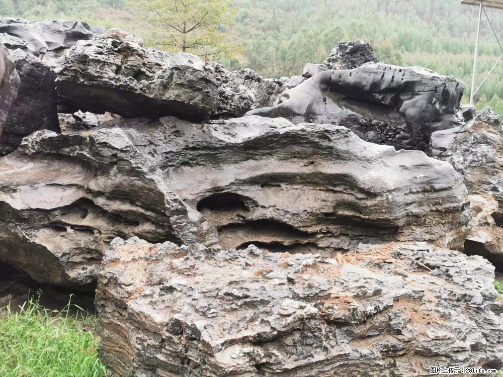 风景石、假山石大量有货，有需要的欢迎联系 - 新手上路 - 泸州生活社区 - 泸州28生活网 luzhou.28life.net