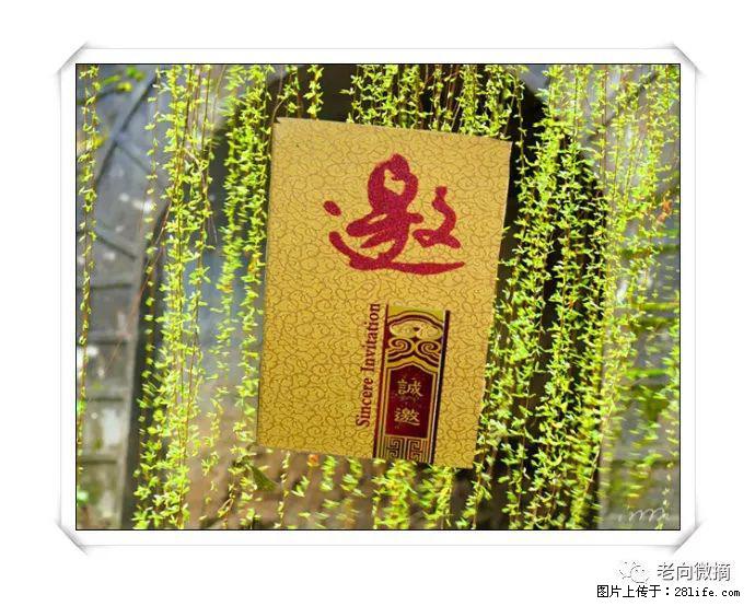 【春天，广西桂林灌阳县向您发出邀请！】开篇 - 游山玩水 - 泸州生活社区 - 泸州28生活网 luzhou.28life.net