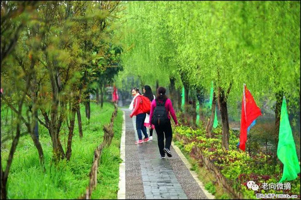 【春天，广西桂林灌阳县向您发出邀请！】江口老街又逢春 - 游山玩水 - 泸州生活社区 - 泸州28生活网 luzhou.28life.net