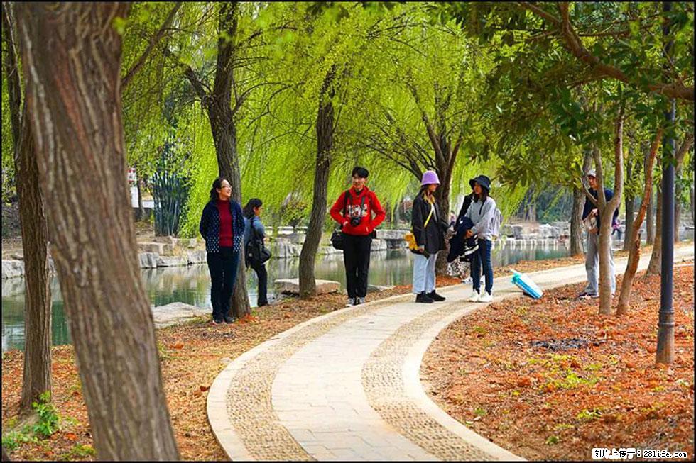 【春天，广西桂林灌阳县向您发出邀请！】江口老街又逢春 - 游山玩水 - 泸州生活社区 - 泸州28生活网 luzhou.28life.net