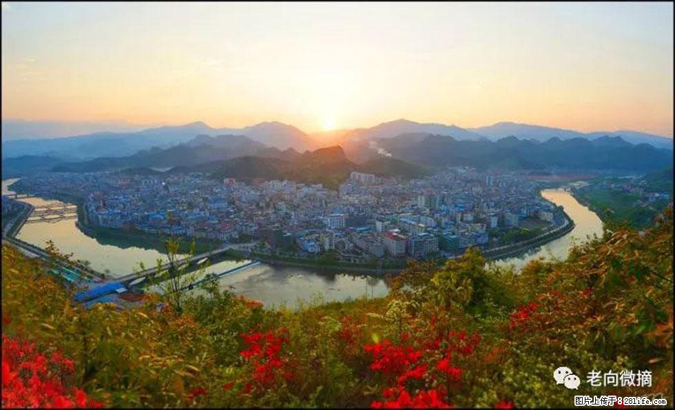 【春天，广西桂林灌阳县向您发出邀请！】登麒麟山，相约映山红 - 游山玩水 - 泸州生活社区 - 泸州28生活网 luzhou.28life.net