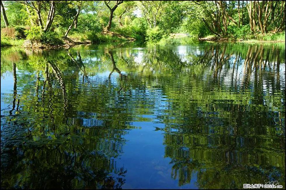 【春天，广西桂林灌阳县向您发出邀请！】熊家寨湿地公园 - 游山玩水 - 泸州生活社区 - 泸州28生活网 luzhou.28life.net