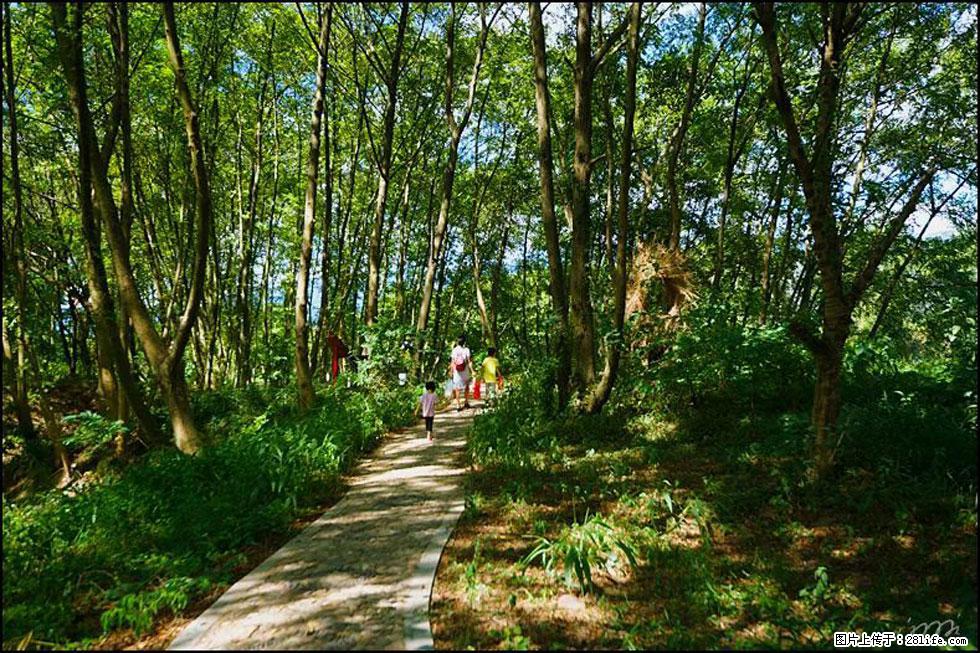 【春天，广西桂林灌阳县向您发出邀请！】熊家寨湿地公园 - 游山玩水 - 泸州生活社区 - 泸州28生活网 luzhou.28life.net