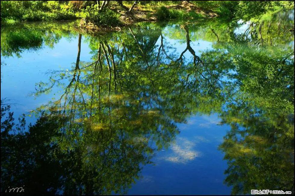 【春天，广西桂林灌阳县向您发出邀请！】熊家寨湿地公园 - 游山玩水 - 泸州生活社区 - 泸州28生活网 luzhou.28life.net