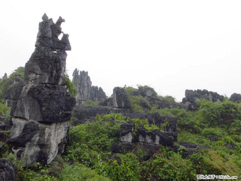 桂林旅游名城景点：灌阳文市石林 - 游山玩水 - 泸州生活社区 - 泸州28生活网 luzhou.28life.net