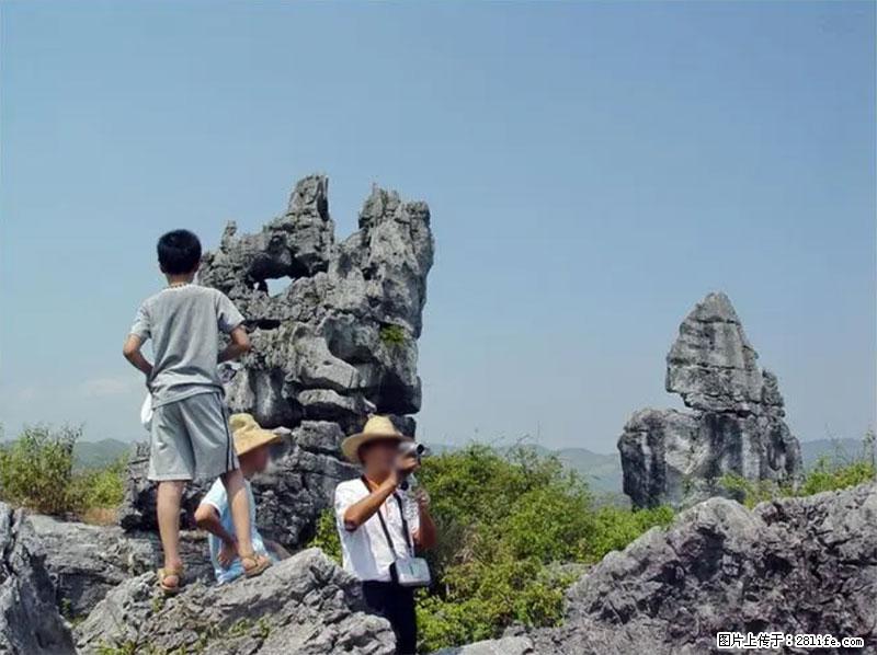 桂林旅游名城景点：灌阳文市石林 - 游山玩水 - 泸州生活社区 - 泸州28生活网 luzhou.28life.net