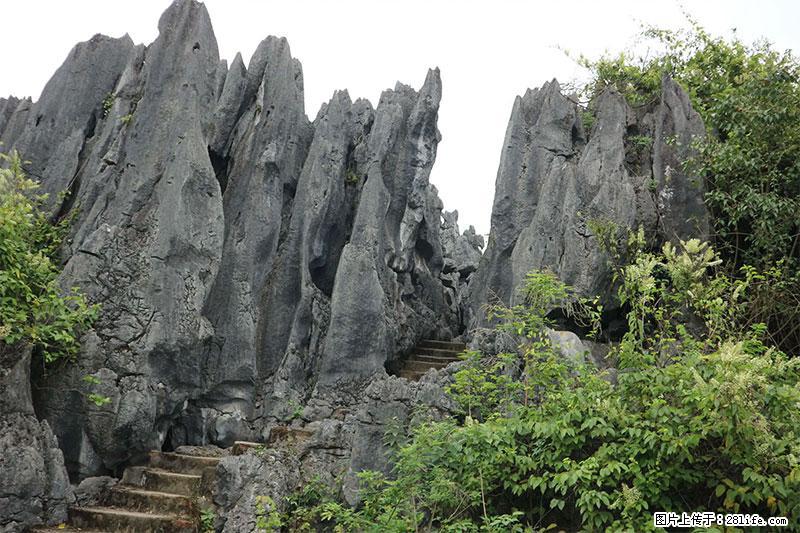 桂林旅游名城景点：灌阳文市石林 - 游山玩水 - 泸州生活社区 - 泸州28生活网 luzhou.28life.net