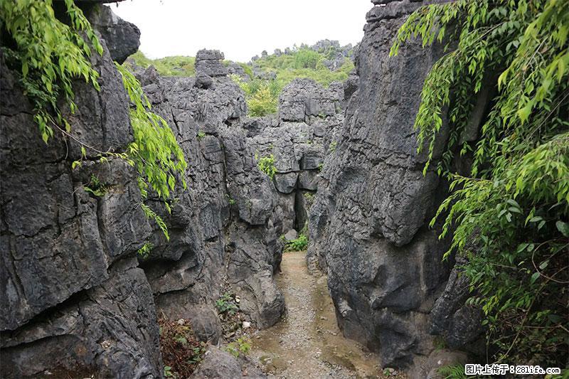 桂林旅游名城景点：灌阳文市石林 - 游山玩水 - 泸州生活社区 - 泸州28生活网 luzhou.28life.net