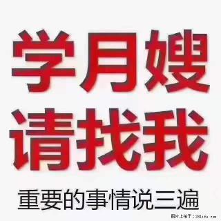为什么要学习月嫂，育婴师？ - 泸州28生活网 luzhou.28life.net