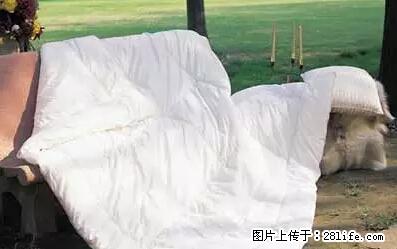 被子有异味？只要这样做，比晒太阳还强100倍！ - 家居生活 - 泸州生活社区 - 泸州28生活网 luzhou.28life.net