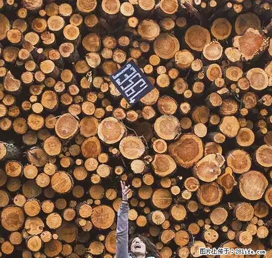 辞掉工作周游世界？现在他们在洗厕所…… - 游山玩水 - 泸州生活社区 - 泸州28生活网 luzhou.28life.net
