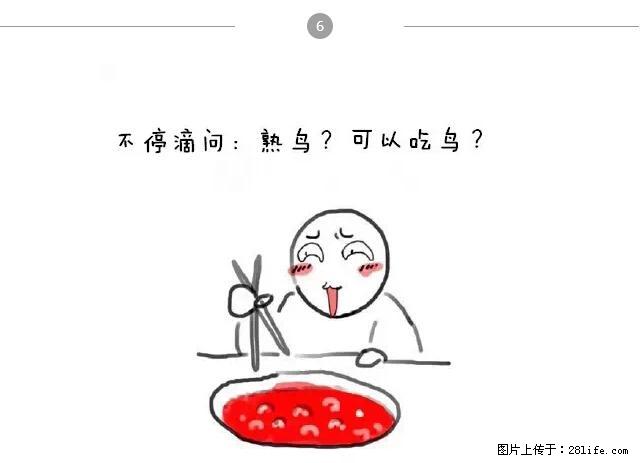 千万不要和这9种哈卵一起吃火锅！ - 美食天地 - 泸州生活社区 - 泸州28生活网 luzhou.28life.net