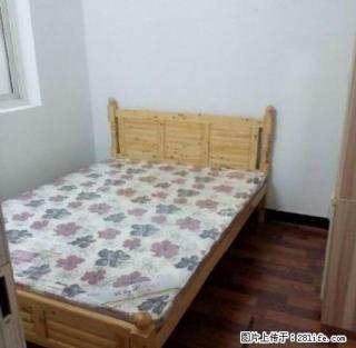 城西瑞丰公馆旁精装两室出租 价格美丽 免费看房 - 泸州28生活网 luzhou.28life.net