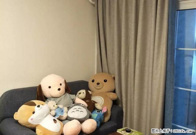 佳乐世纪城 精装一房 温馨舒适（可短租两个月） - 房屋出租 - 房屋租售 - 泸州分类信息 - 泸州28生活网 luzhou.28life.net