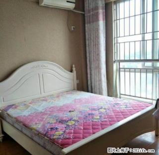 无介绍费 市中心水井沟 沱一桥旁现代150出租 - 泸州28生活网 luzhou.28life.net