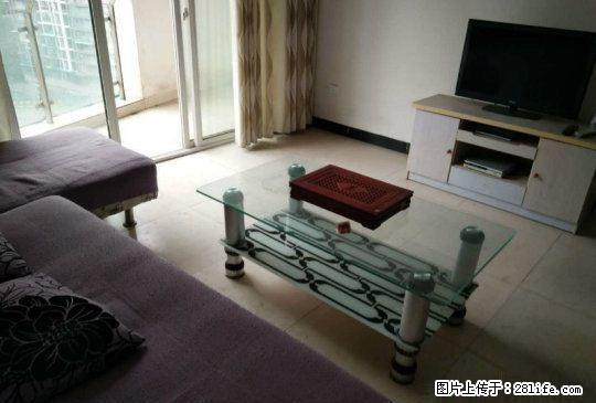 无介绍费 酒城大道一段 酒城花园两室整租 拎包入住 - 房屋出租 - 房屋租售 - 泸州分类信息 - 泸州28生活网 luzhou.28life.net