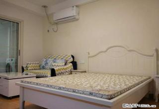 真实图片世纪城豪装温馨公寓出租家电家具全新拎包入住手慢则无 - 泸州28生活网 luzhou.28life.net