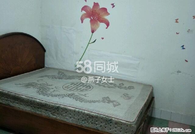区委附近 2室1厅1卫 - 房屋出租 - 房屋租售 - 泸州分类信息 - 泸州28生活网 luzhou.28life.net