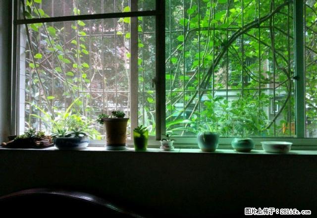 (单间出租)富临花园水务集团个人分租 个人分租大山坪主卧500元/月 - 房屋出租 - 房屋租售 - 泸州分类信息 - 泸州28生活网 luzhou.28life.net