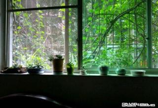 (单间出租)富临花园水务集团个人分租 个人分租大山坪主卧500元/月 - 泸州28生活网 luzhou.28life.net