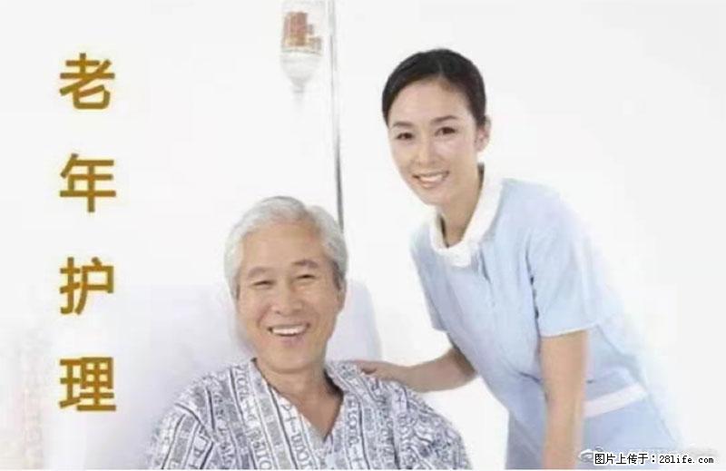 上海国企养老院，星级酒店环境，招聘养老护工 - 职场交流 - 泸州生活社区 - 泸州28生活网 luzhou.28life.net