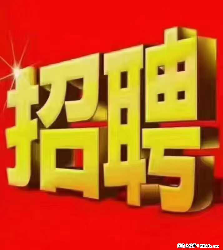 【东莞市威萨电子科技有限公司】公司直招：外贸业务、仓管员、跟单文员、普工 - 职场交流 - 泸州生活社区 - 泸州28生活网 luzhou.28life.net
