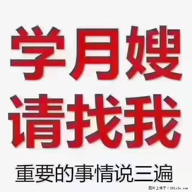 【招聘】月嫂，上海徐汇区 - 职场交流 - 泸州生活社区 - 泸州28生活网 luzhou.28life.net