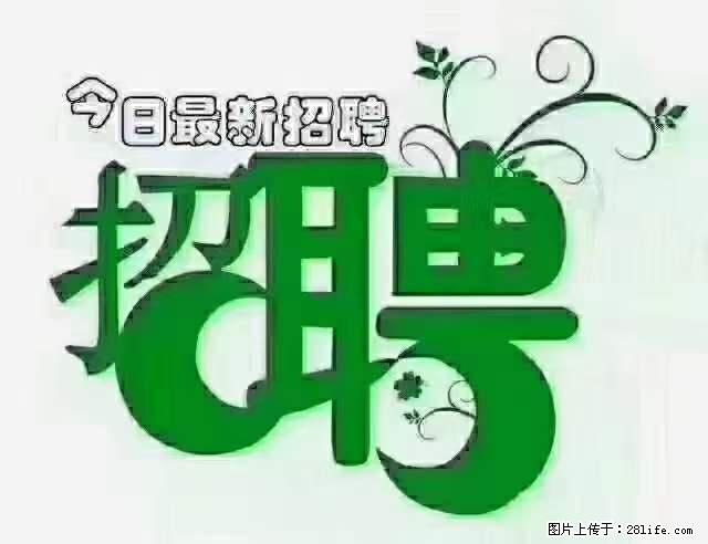 上海隔离酒店招人：55岁以下 男女不限 - 职场交流 - 泸州生活社区 - 泸州28生活网 luzhou.28life.net