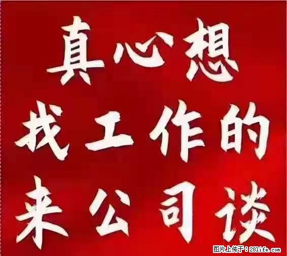 【上海】国企，医院招两名男保安，55岁以下，身高1.7米以上，无犯罪记录不良嗜好 - 职场交流 - 泸州生活社区 - 泸州28生活网 luzhou.28life.net