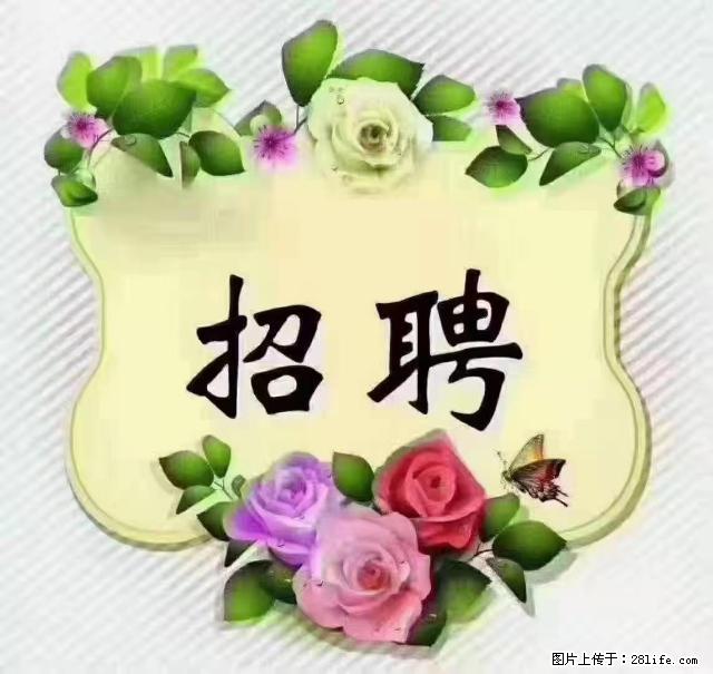 【招聘】住家育儿嫂，上户日期：4月4日，工作地址：上海 黄浦区 - 职场交流 - 泸州生活社区 - 泸州28生活网 luzhou.28life.net