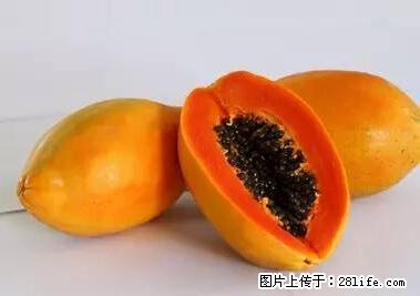 晕车、脚气、牙齿变黄、皮肤粗糙？学会这些三分钟搞定！ - 泸州生活资讯 - 泸州28生活网 luzhou.28life.net