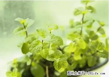 晕车、脚气、牙齿变黄、皮肤粗糙？学会这些三分钟搞定！ - 泸州生活资讯 - 泸州28生活网 luzhou.28life.net
