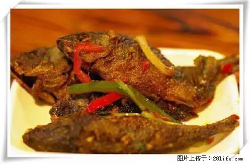 来广西旅游必吃这20道桂菜，不然就白来广西啦！ - 泸州生活资讯 - 泸州28生活网 luzhou.28life.net