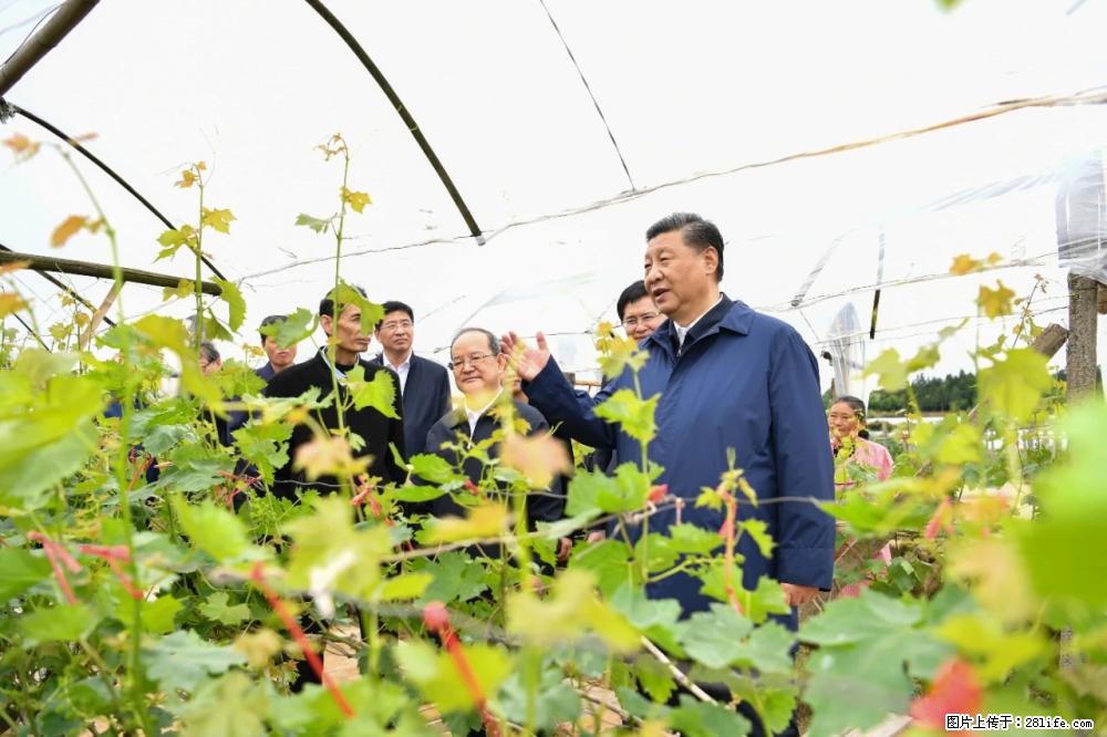 习近平赴广西考察调研 - 泸州生活资讯 - 泸州28生活网 luzhou.28life.net