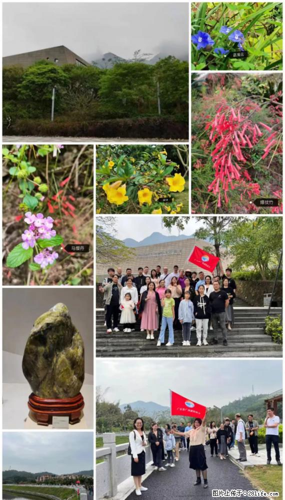 “粤灌文化 美好生活”油茶文化主题活动在广东深圳成功举办 - 泸州生活资讯 - 泸州28生活网 luzhou.28life.net