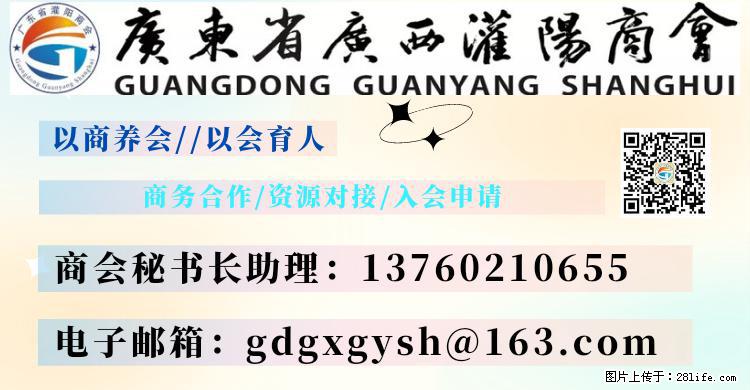 “粤灌文化 美好生活”油茶文化主题活动在广东深圳成功举办 - 泸州生活资讯 - 泸州28生活网 luzhou.28life.net
