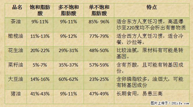 揭秘茶油的5大核心营养成分！被称为人体健康的“守护盾”！ - 泸州生活资讯 - 泸州28生活网 luzhou.28life.net