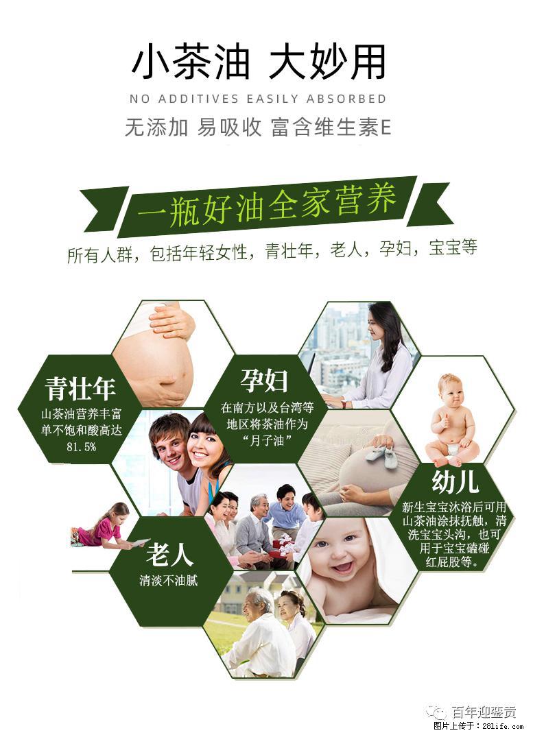 世界没有真相，只有认知，最好的食用油是中国的山茶油！ - 泸州生活资讯 - 泸州28生活网 luzhou.28life.net
