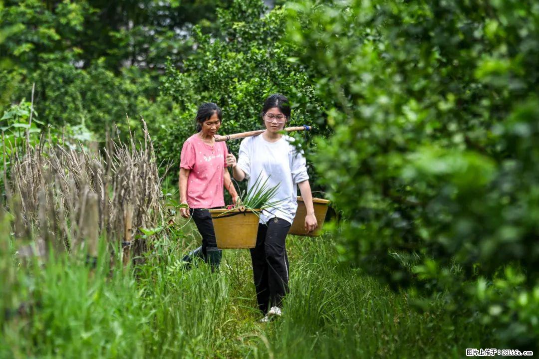 全网追的“扁担女孩”，找了一份暑假工，时薪12元 - 泸州生活资讯 - 泸州28生活网 luzhou.28life.net