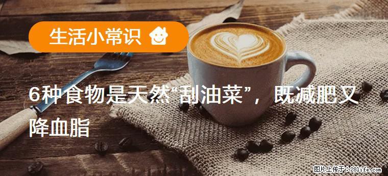 【生活小常识】6种食物是天然“刮油菜”，既减肥又降血脂 - 泸州生活资讯 - 泸州28生活网 luzhou.28life.net