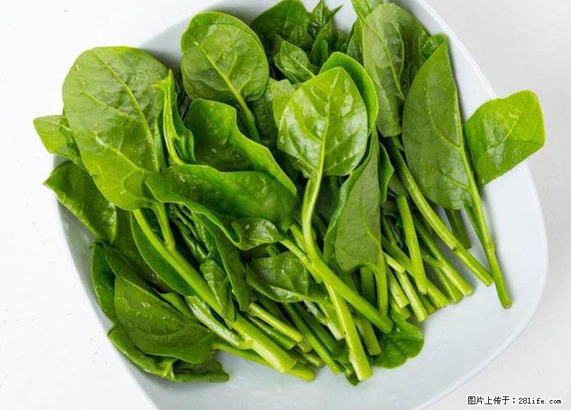 这些蔬菜是“天然钙片”，这6种被医生重点推荐 - 泸州生活资讯 - 泸州28生活网 luzhou.28life.net