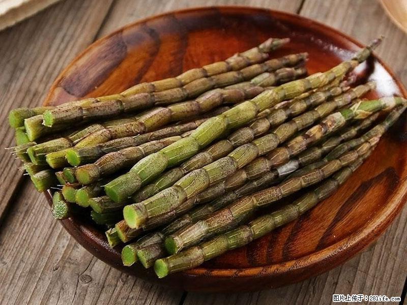 铁皮石斛的作用与功能主治 - 泸州生活资讯 - 泸州28生活网 luzhou.28life.net